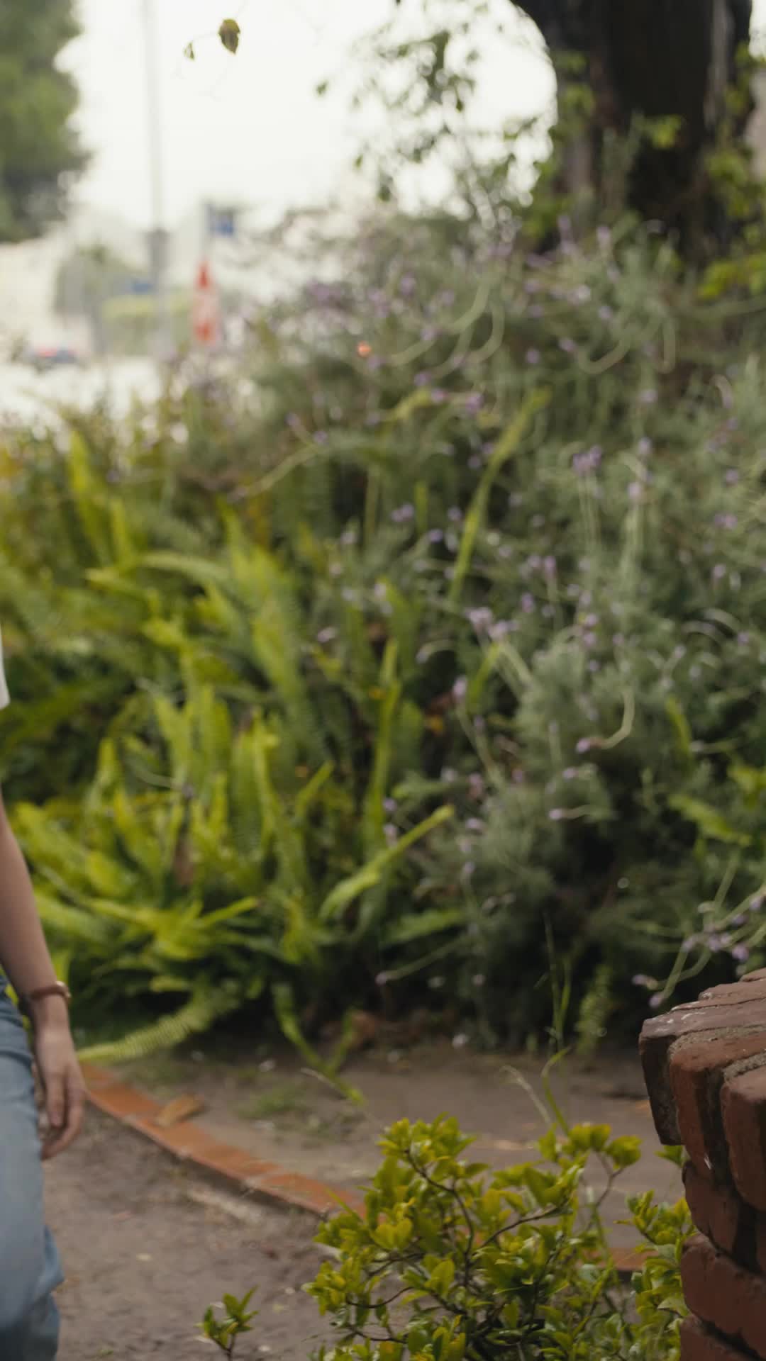 Episódio 53 - Amor Proibido em Guerra